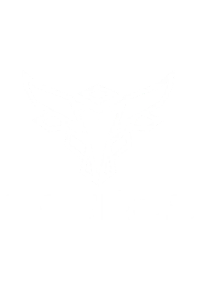 Resistencia Tauros